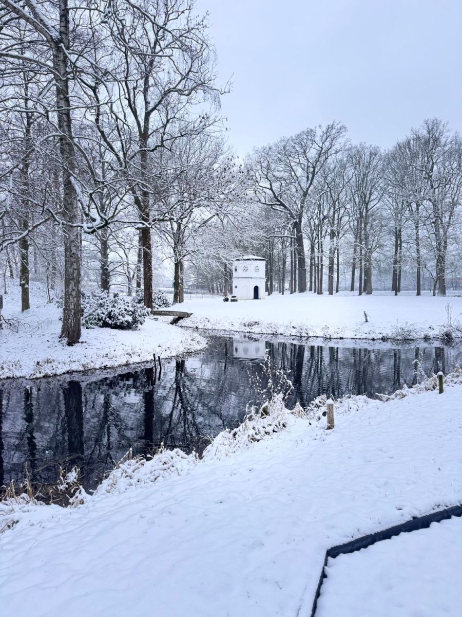 Nova Vitalys - Offerte aanvragen