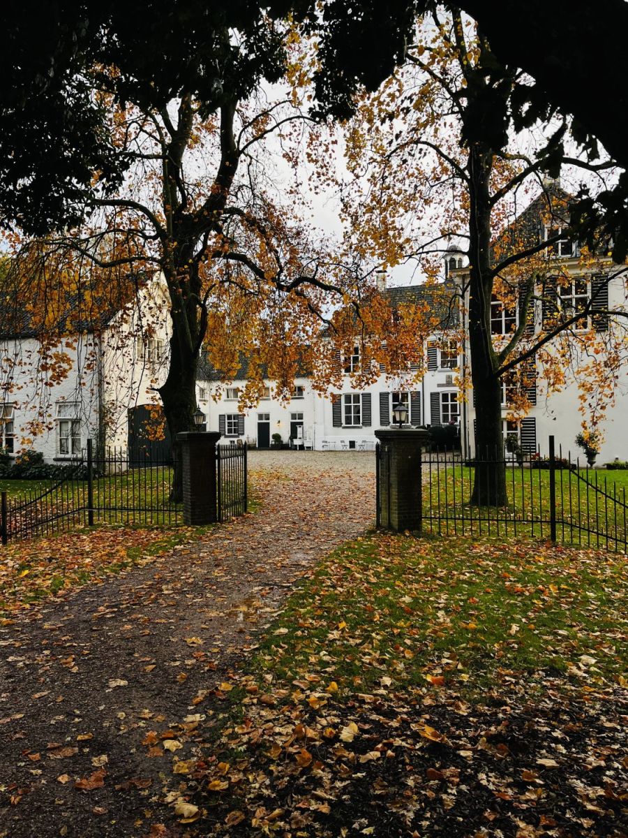 Nova Vitalys - Offerte aanvragen