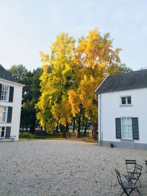 Complete vitaliteitstraject 