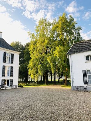 Sportvasten & Krachtvasten